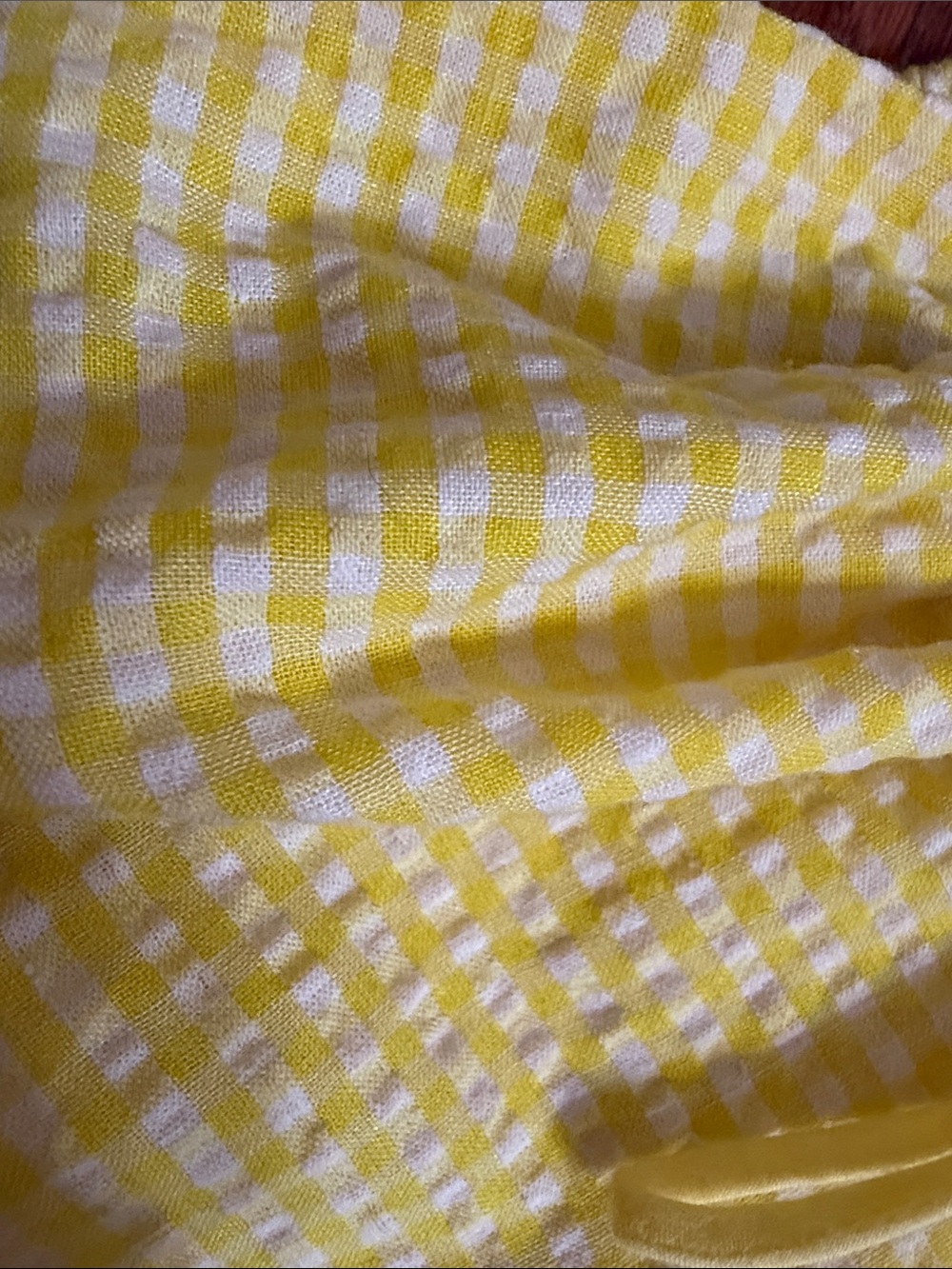For Love Bell Lemons Picnic eyelet set gingham crop top puff sleeves w/ skirt -M - Picture 7 of 12